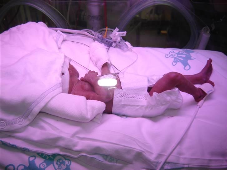 Dreng Damian billede 12