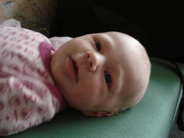 Pige Isabella billede 4