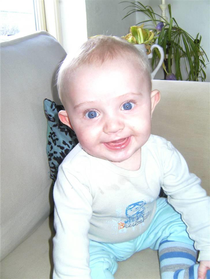 Dreng Jannik - jannik 6½mdr.ca lidt mere måske:D billede 7