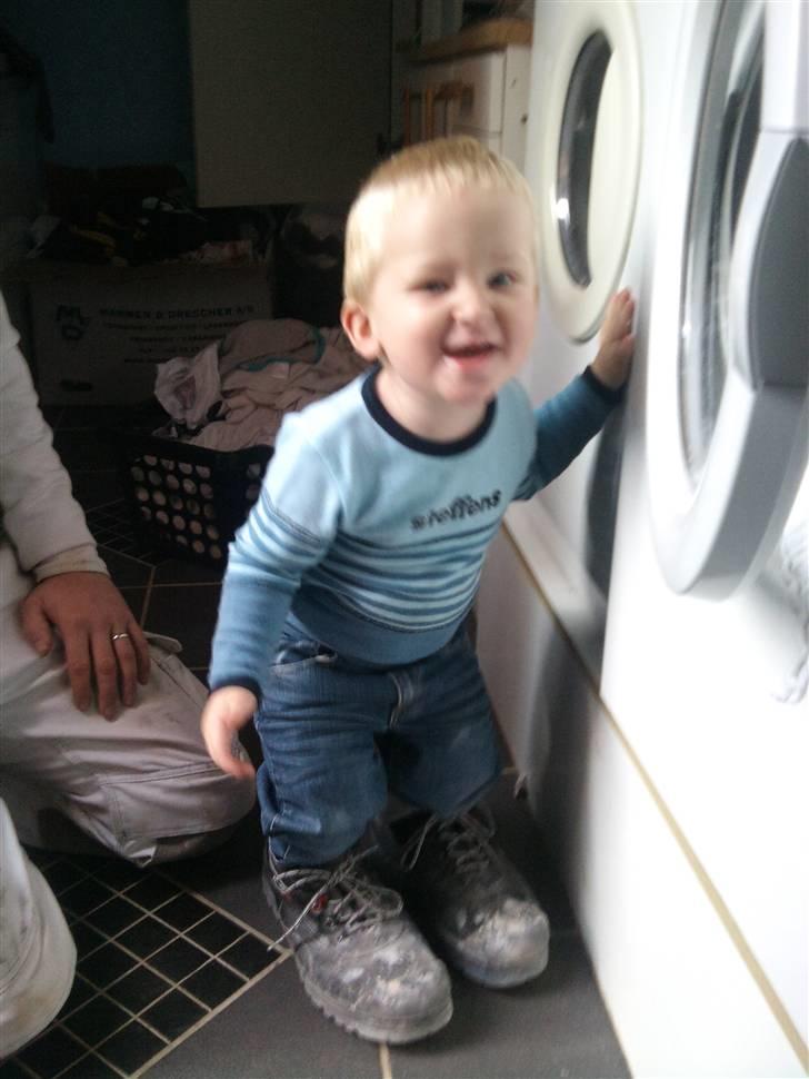 Dreng William billede 2