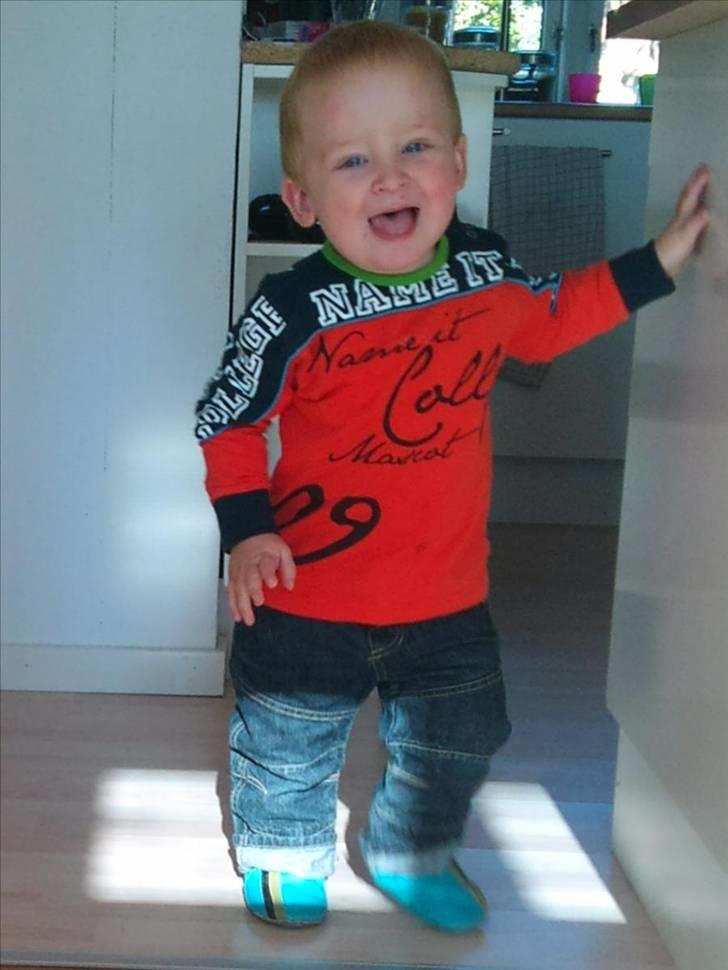 Dreng William billede 3