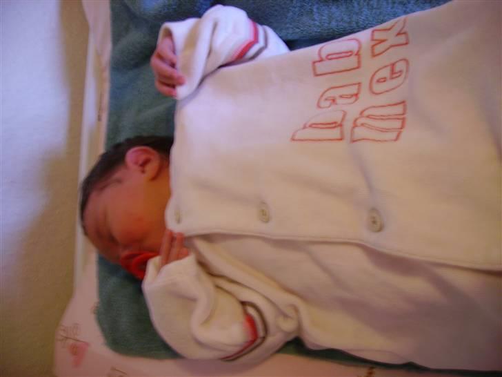 Pige jasmin  billede 6