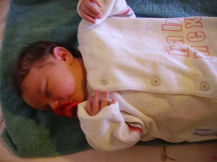 Pige jasmin  billede 7