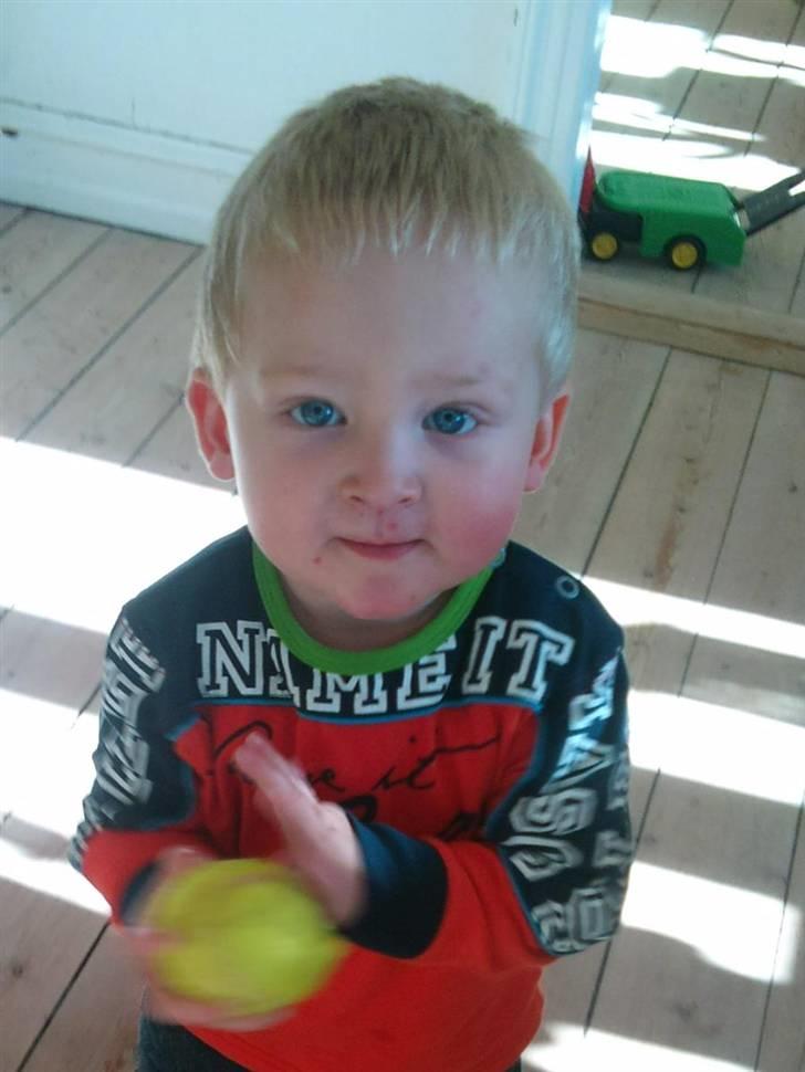 Dreng William billede 4