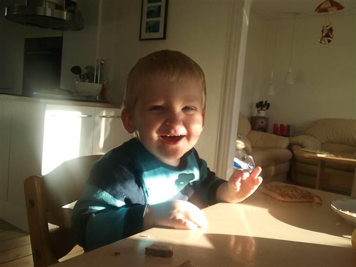 Dreng William billede 6