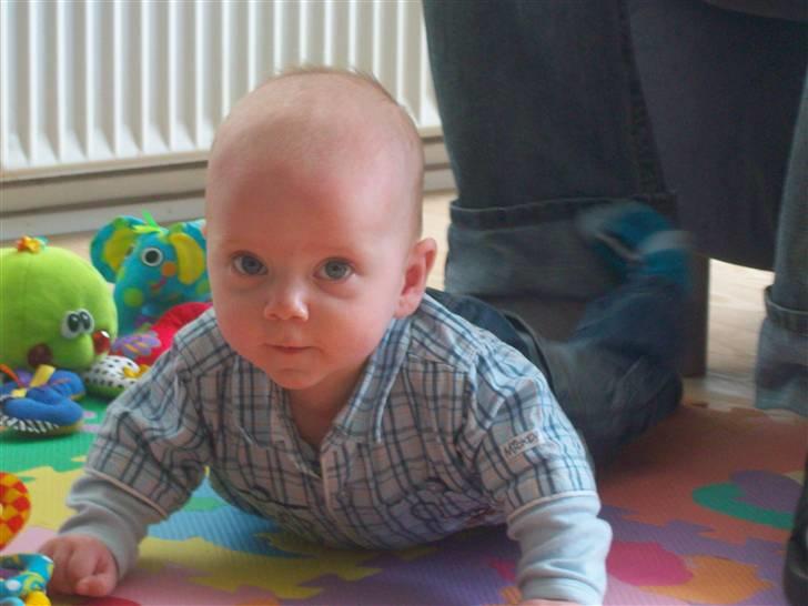 Dreng Noah Emil Andersen - Her er Noah ca. 5 måneder billede 5