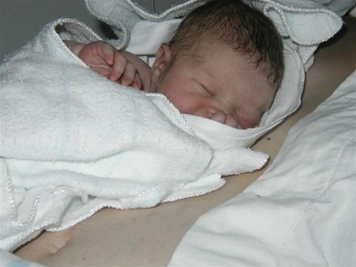 Pige Anna Sofie billede 1