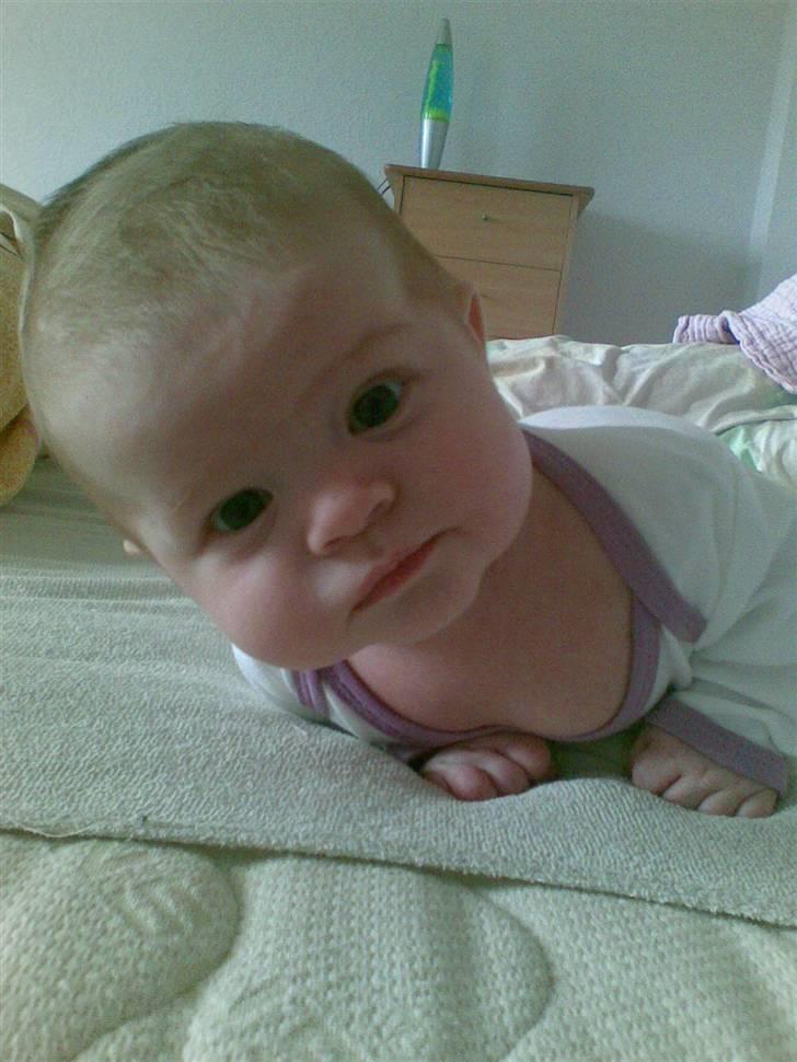 Pige Anna Sofie billede 4