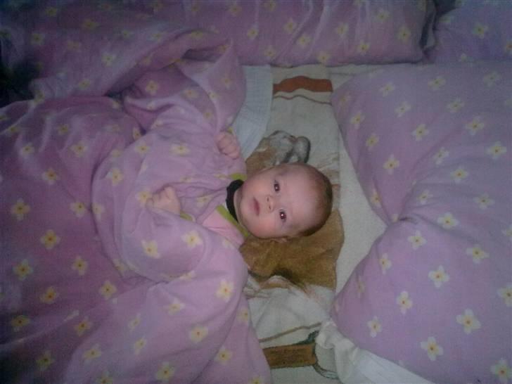 Pige Anna Sofie billede 5