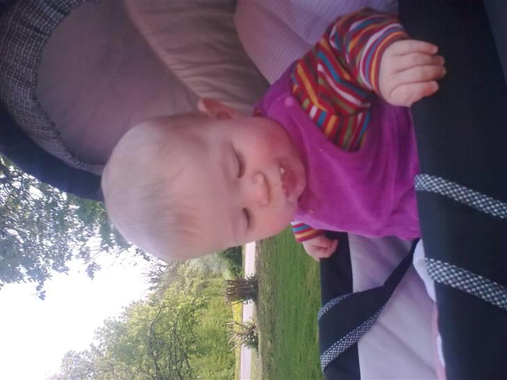 Pige Anna Sofie billede 6
