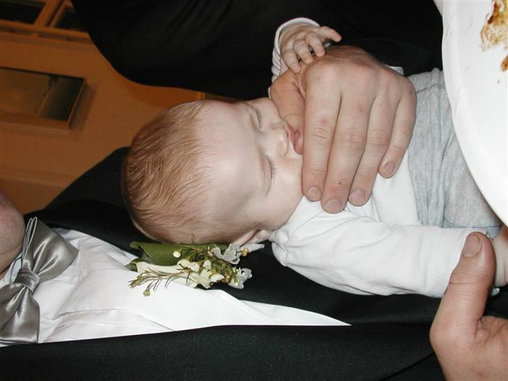 Pige Anna Sofie billede 7