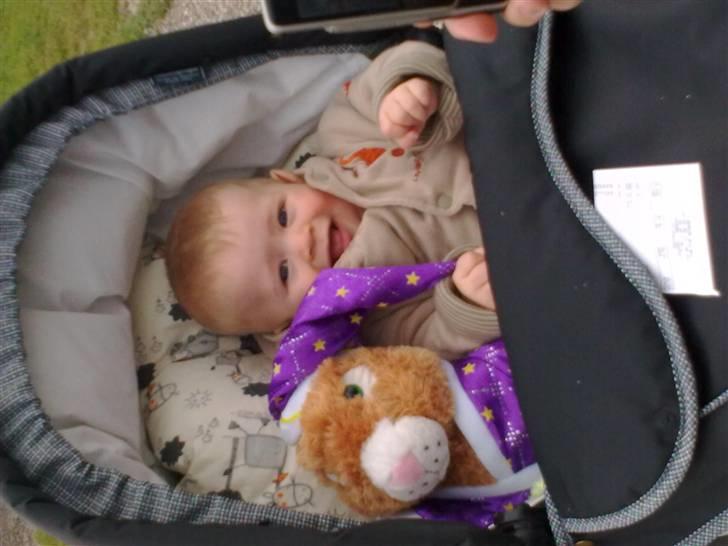 Pige Anna Sofie billede 8