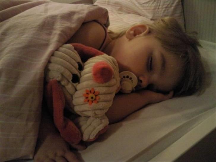 Pige Katie billede 2