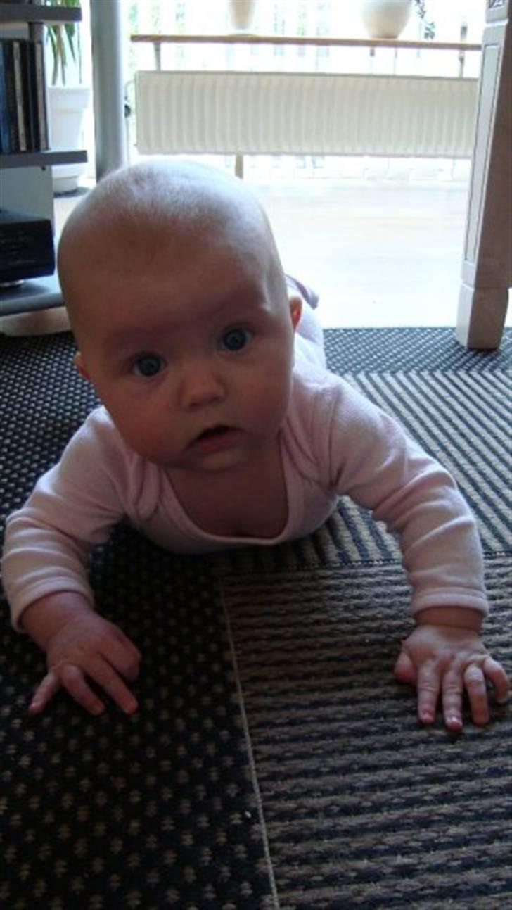 Pige Josefine Elisabeth  billede 3