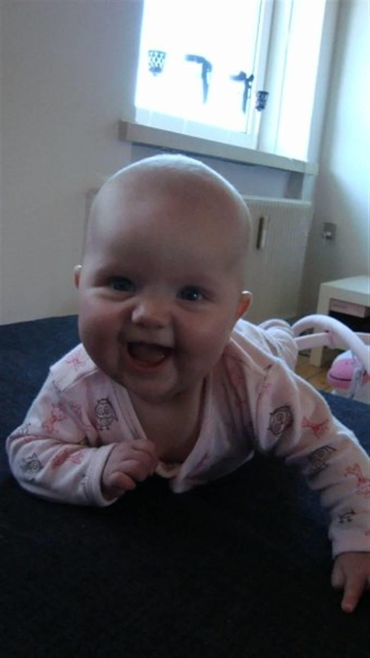 Pige Josefine Elisabeth  billede 4