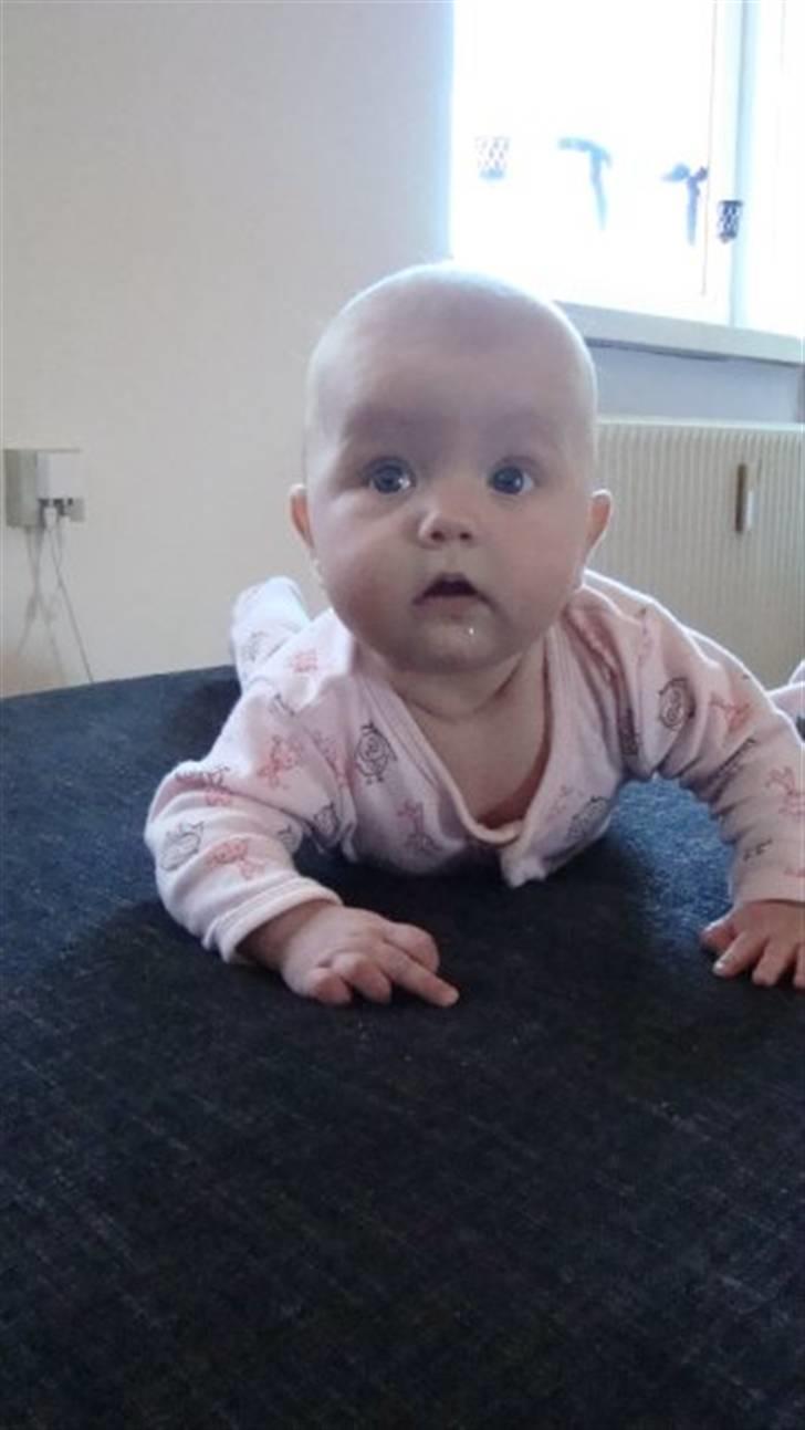 Pige Josefine Elisabeth  billede 5