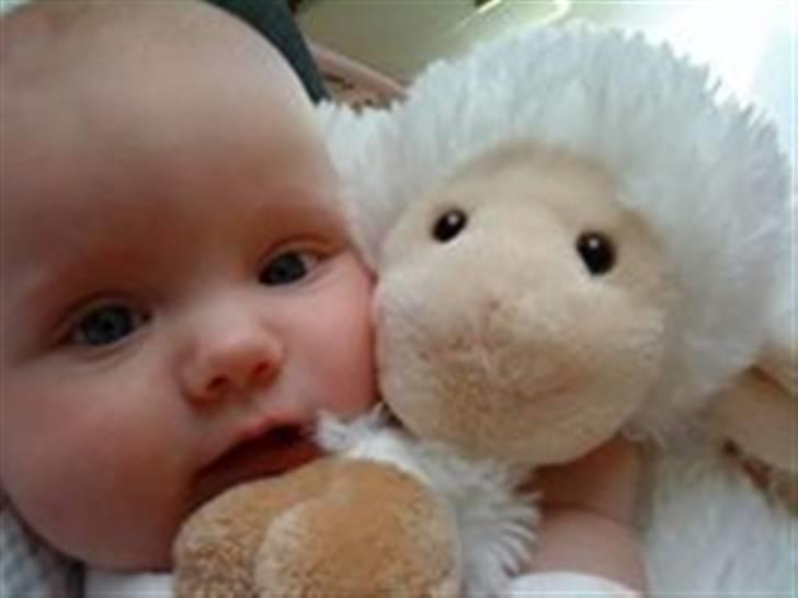 Pige Josefine Elisabeth  billede 6