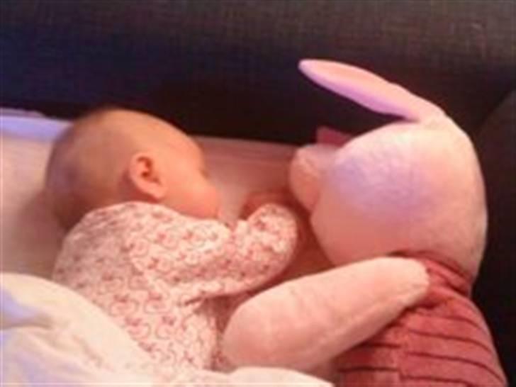 Pige Josefine Elisabeth  billede 7