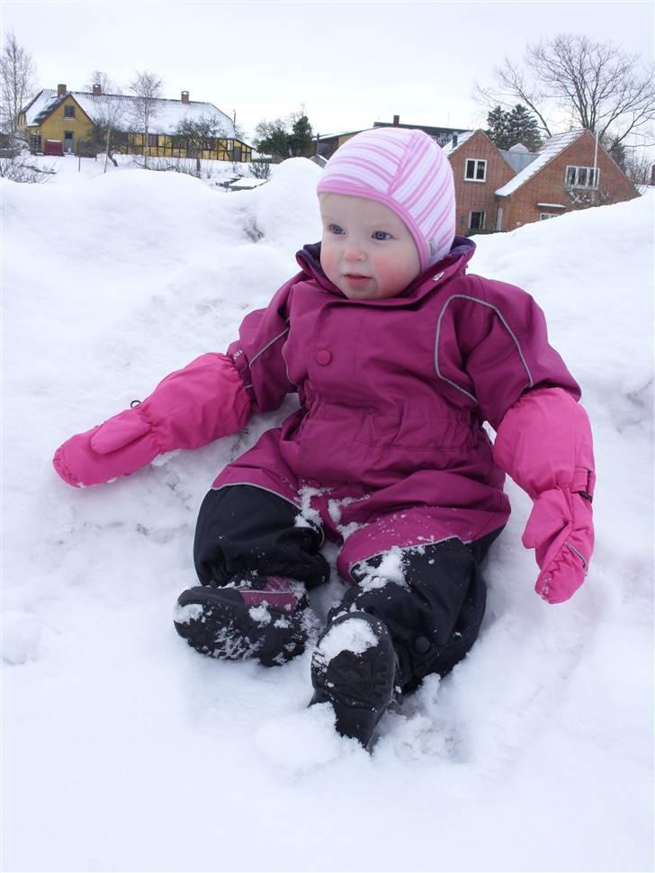 Pige Sascha - Ude i sneen 14 februar-10 billede 20