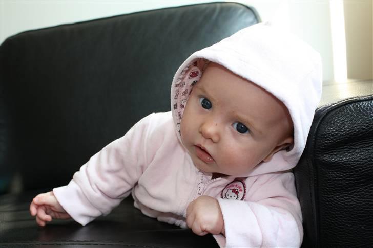Pige smilla billede 4