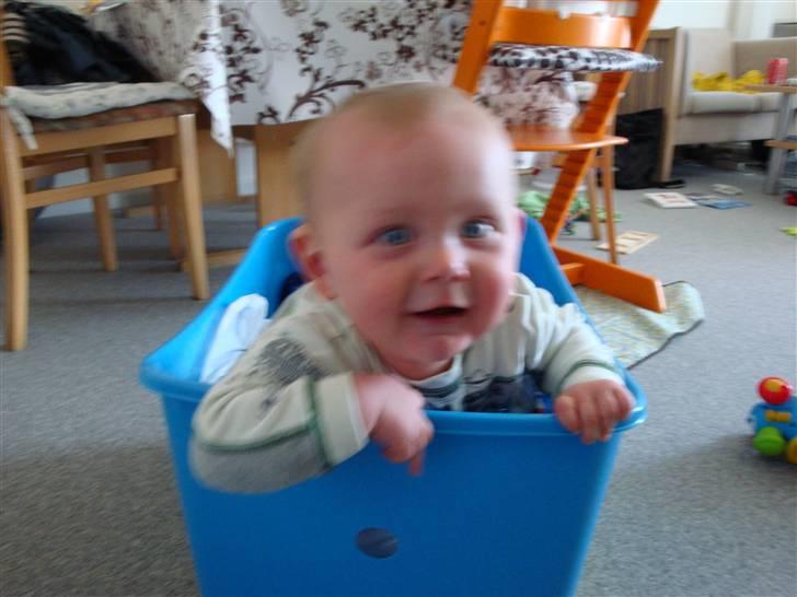 Dreng Elias billede 4