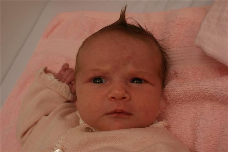 Pige Sofie billede 5