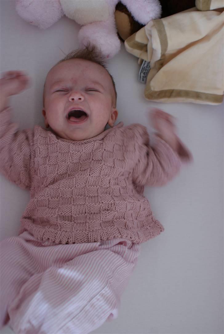 Pige Sofie billede 6