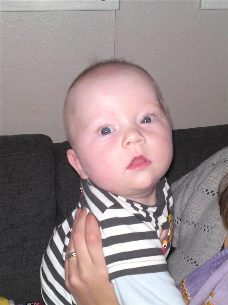 Dreng Malthe  - Hej hej jeg er Malthe  billede 5