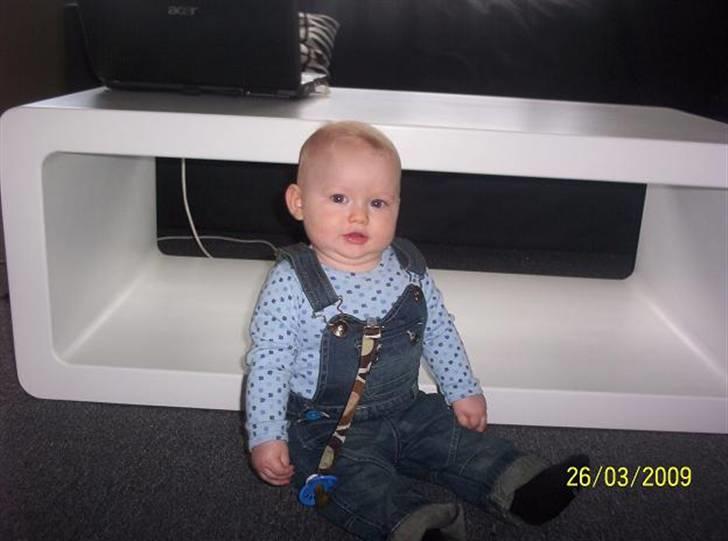 Dreng Sebastean billede 11