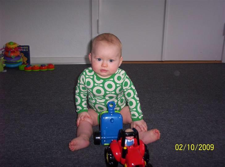 Dreng Sebastean billede 19