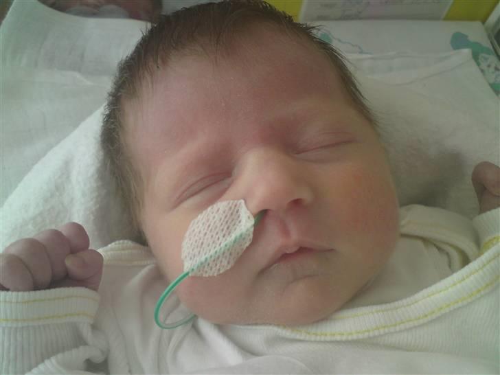 Pige sindy melissa billede 1