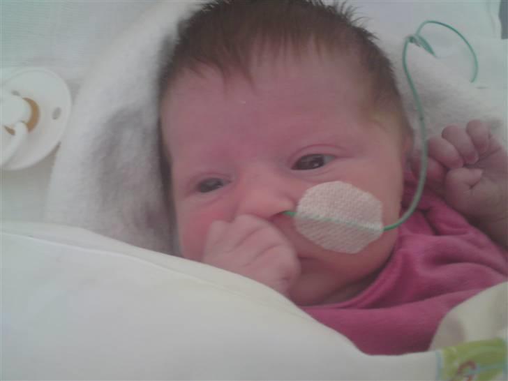 Pige sindy melissa billede 4