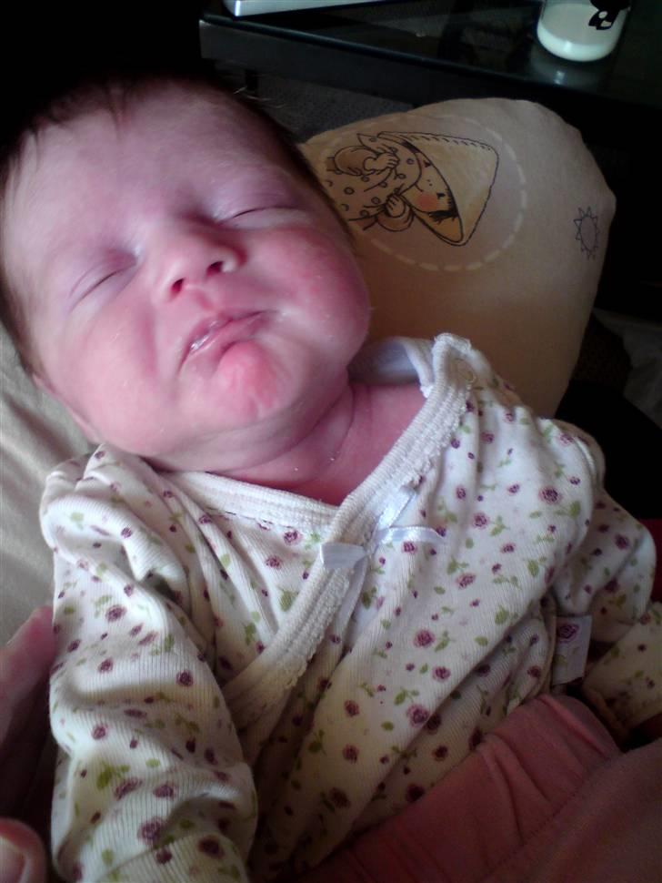 Pige sindy melissa billede 6