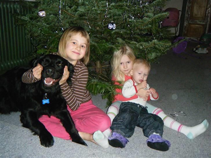 Pige Cecilie - Julebilled billede 3