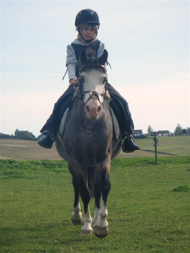 Pige Cecilie - Cecilie og Twist billede 10