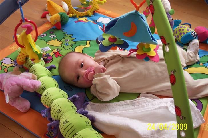 Pige Amalie Machon Malberg billede 1