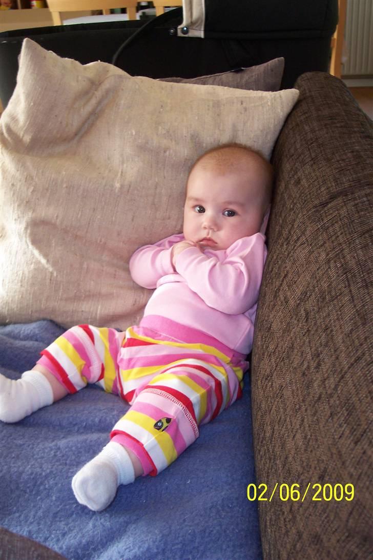 Pige Amalie Machon Malberg billede 5