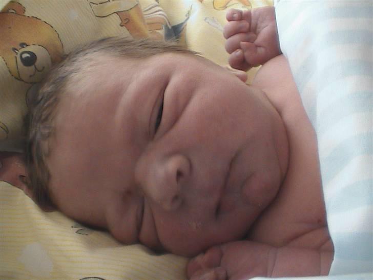 Dreng Nickey Emanuel - Er knap 5 timer gammel billede 12