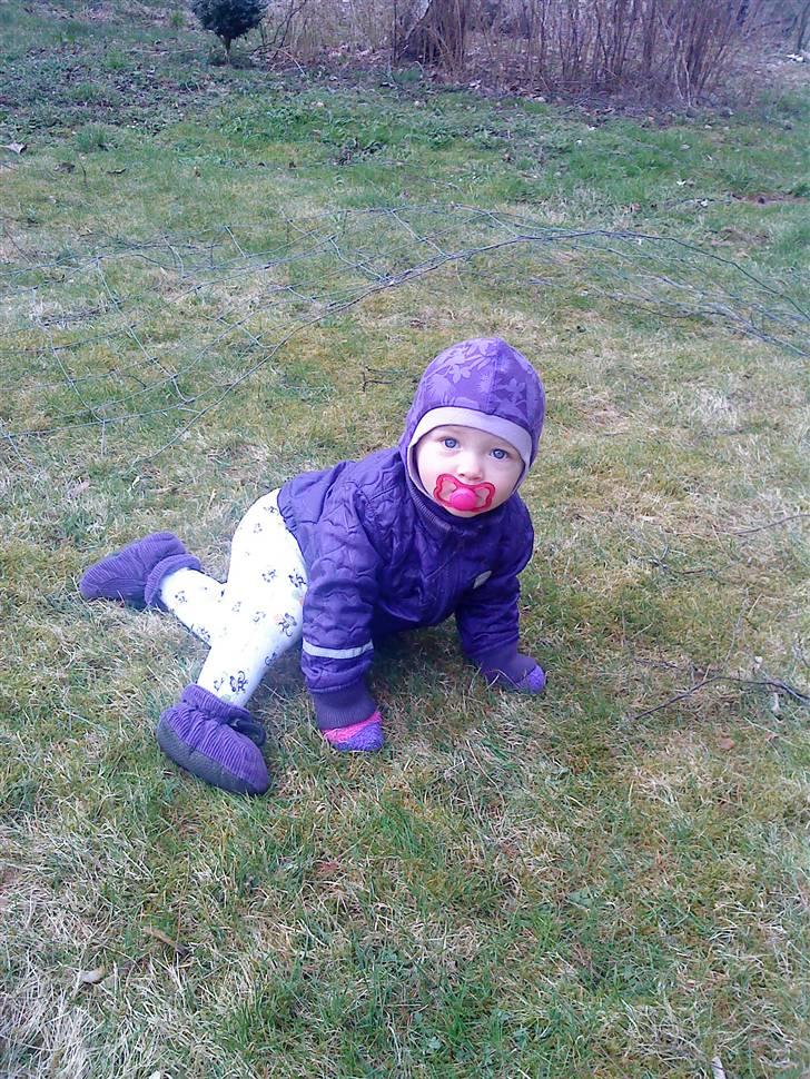 Pige olivia billede 1