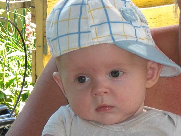 Dreng Mattie  billede 1