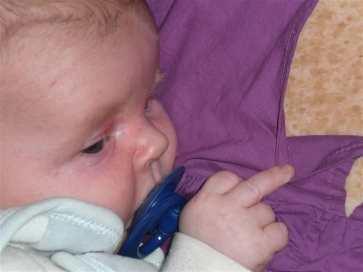 Dreng Mattie  billede 2