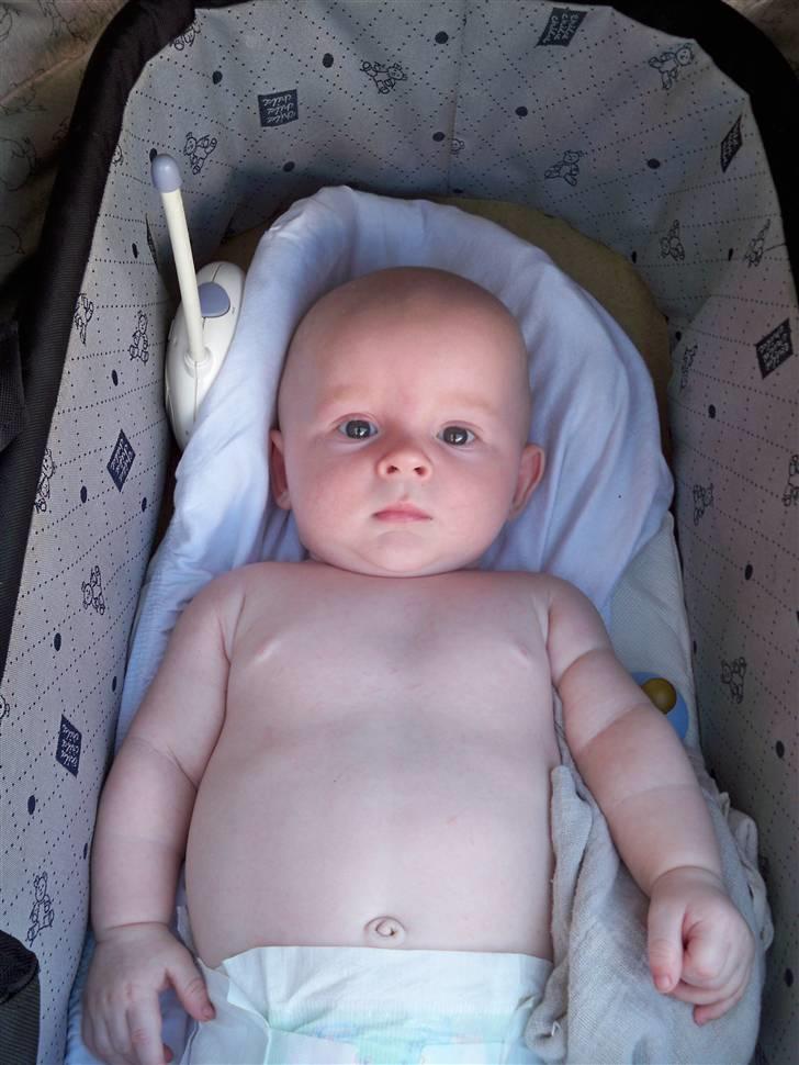 Dreng Mattie  billede 4