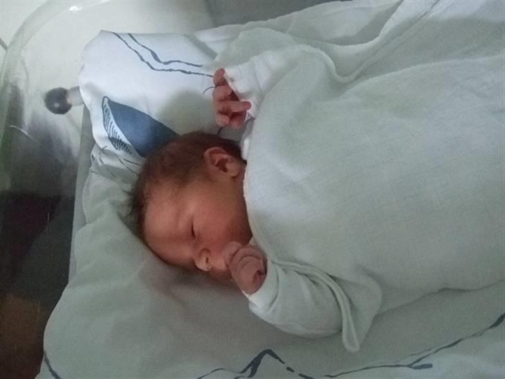 Dreng jamie strøh petersen billede 2