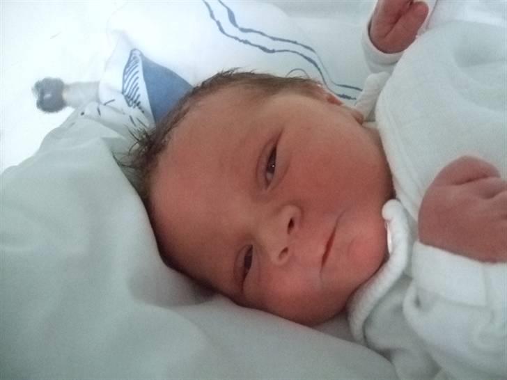 Dreng jamie strøh petersen billede 4