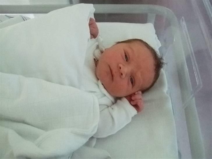 Dreng jamie strøh petersen billede 5