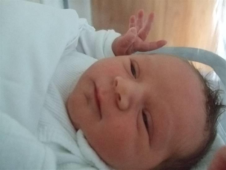 Dreng jamie strøh petersen billede 6