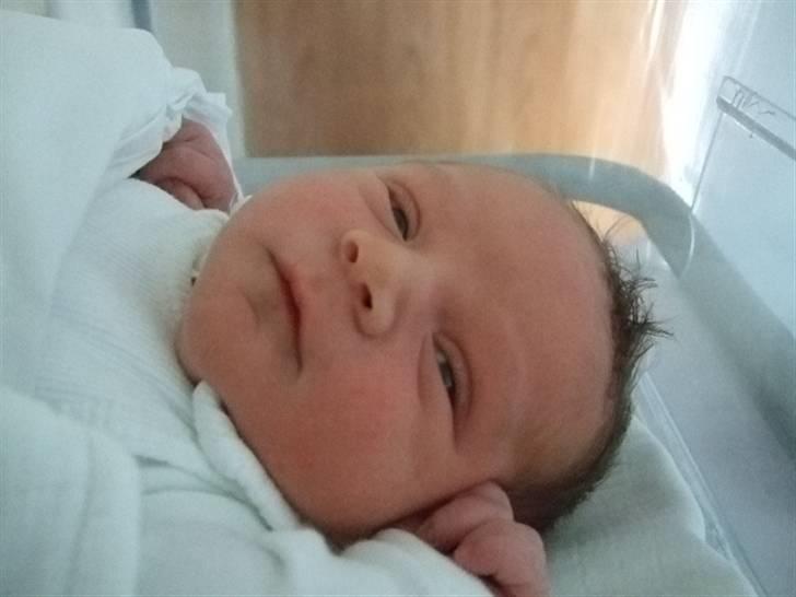 Dreng jamie strøh petersen billede 7