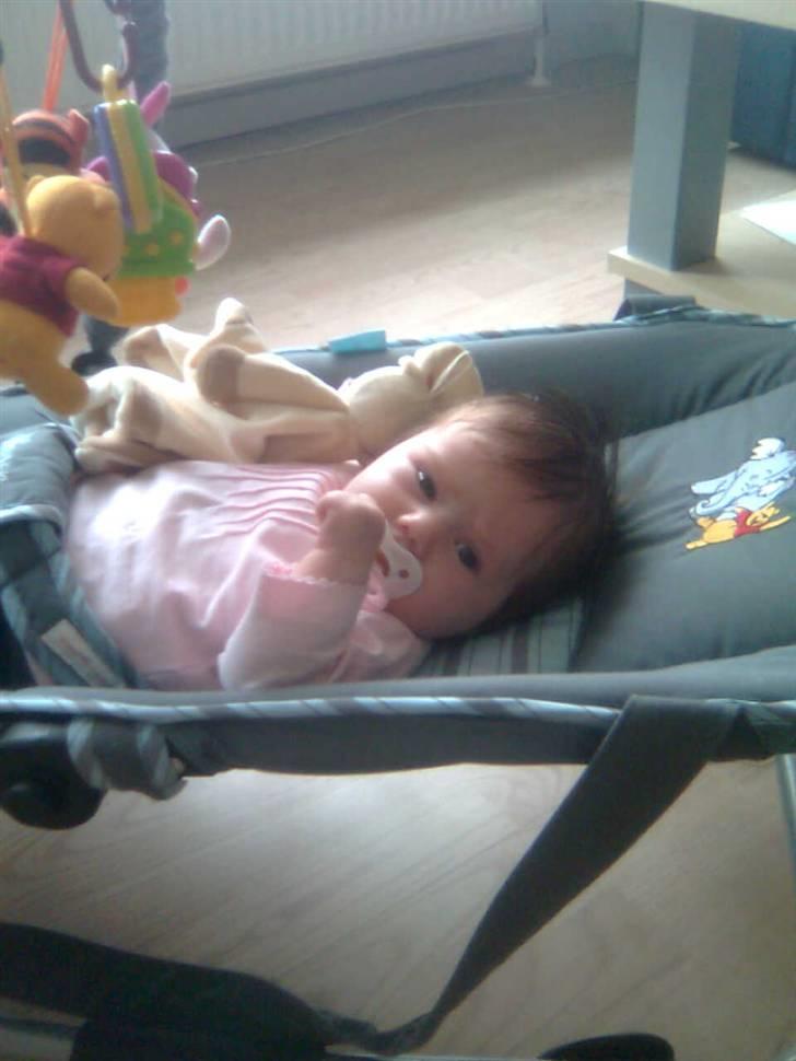 Pige kimmi billede 2
