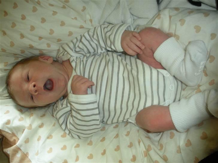 Dreng Zacharias Anton  - En meget træt baby basse billede 12
