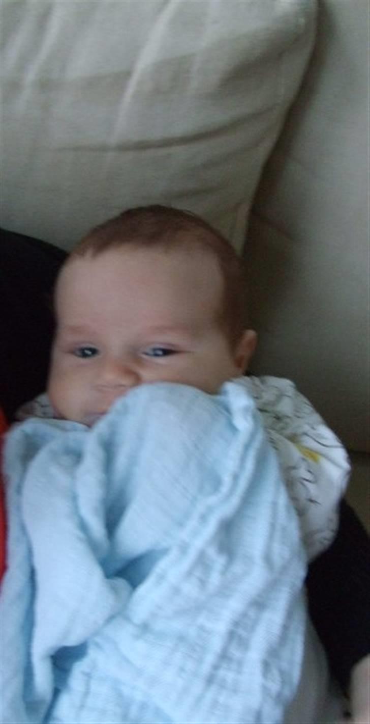 Dreng jamie strøh petersen billede 8